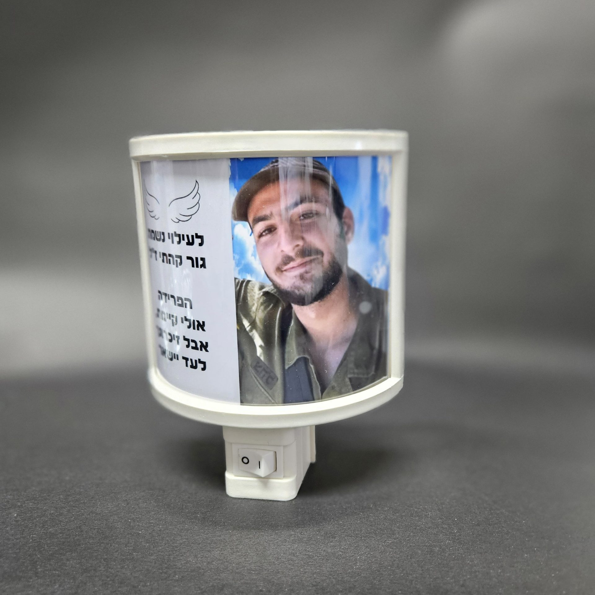 {{brizy_dc_image_alt entityId=