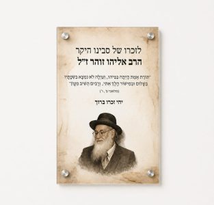 shelet-hanzaha-2