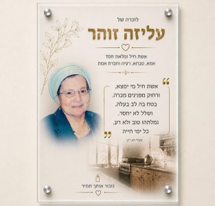 shelet-hanzaha-3