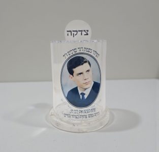 {{brizy_dc_image_alt entityId=